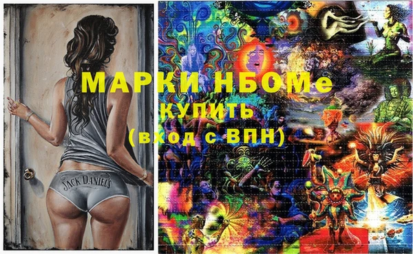 прущий лед Богданович